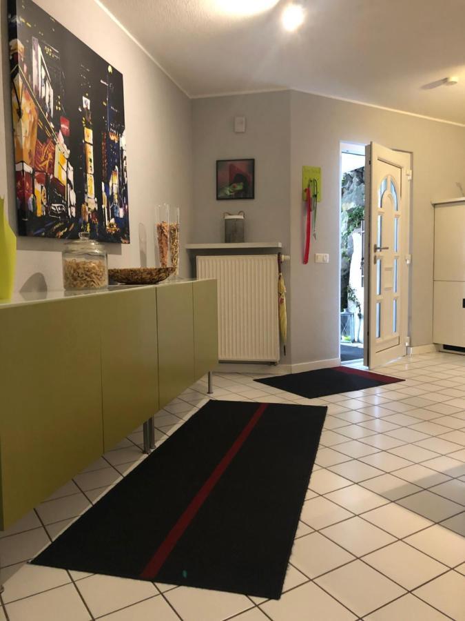 Chalet Joe Apartment Waldbreitbach Екстериор снимка
