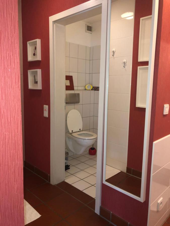 Chalet Joe Apartment Waldbreitbach Екстериор снимка