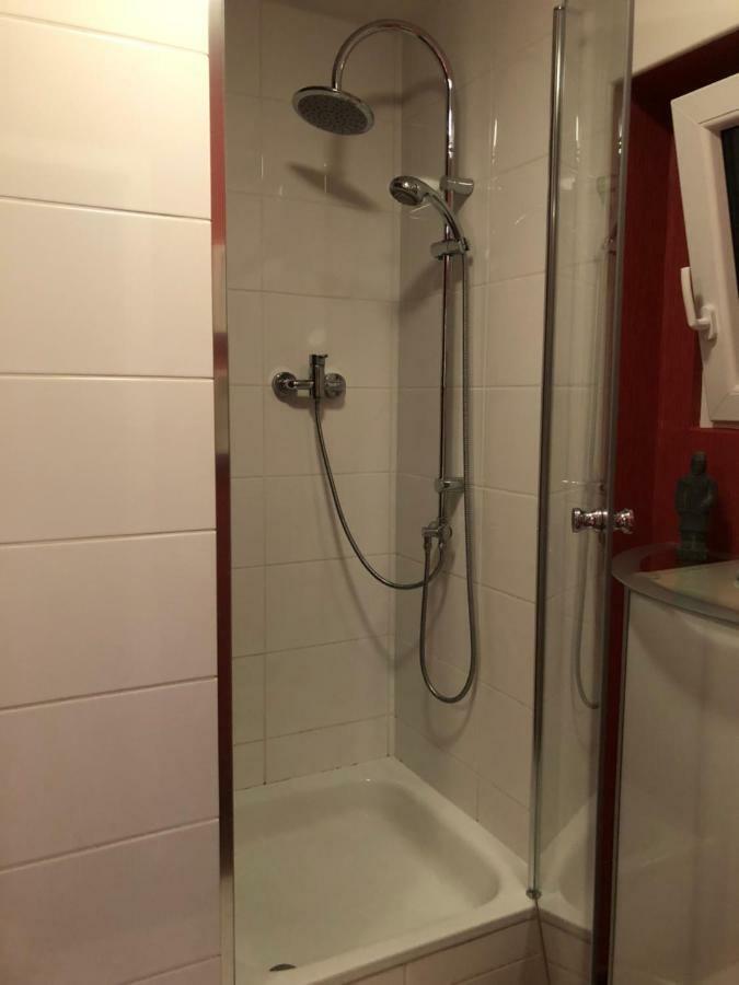 Chalet Joe Apartment Waldbreitbach Екстериор снимка